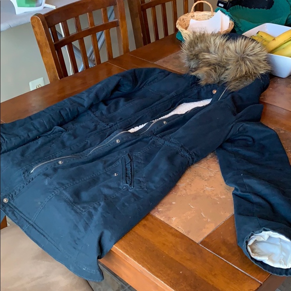 Large navy hollister winter coat